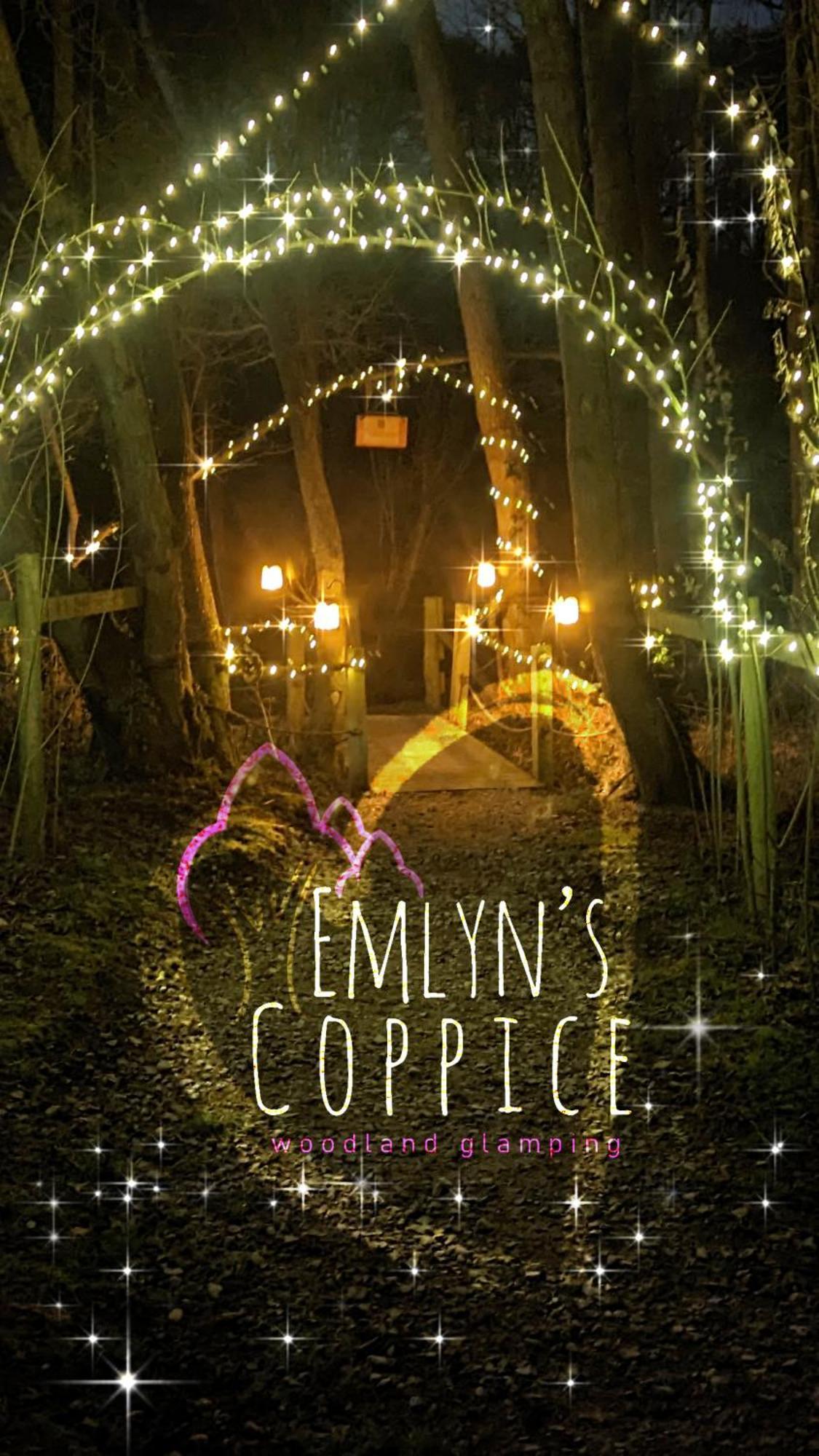 Emlyn'S Coppice - Luxury Woodland Glamping Villa Холиуел Екстериор снимка