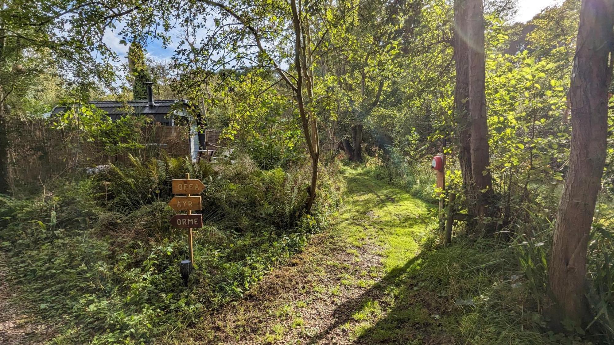 Emlyn'S Coppice - Luxury Woodland Glamping Villa Холиуел Екстериор снимка